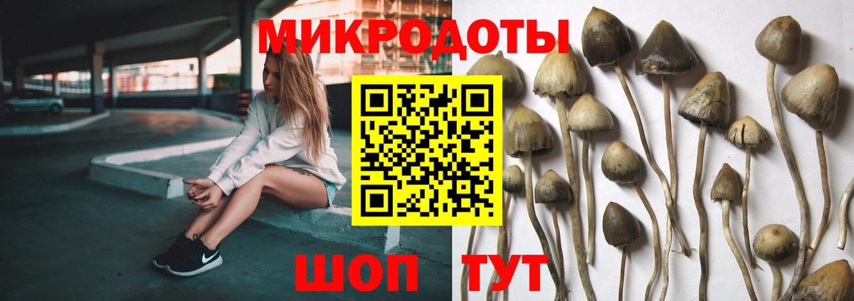 Галлюциногенные грибы Cubensis Борзя
